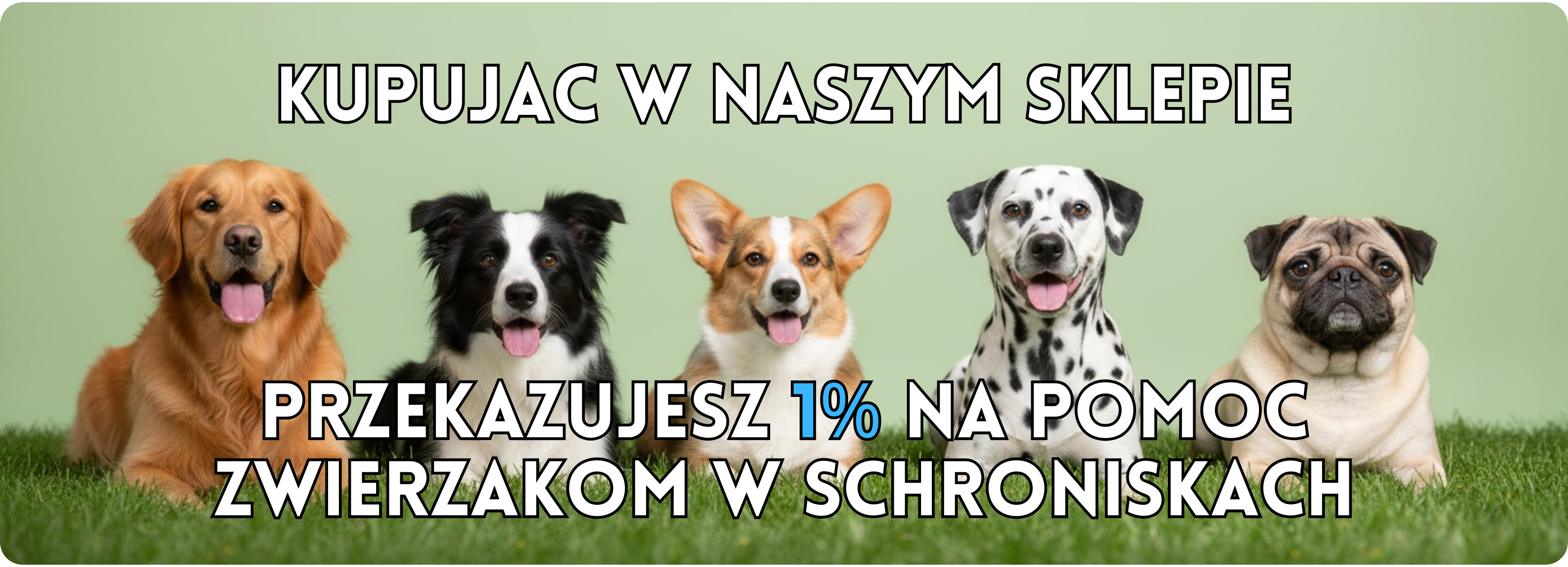 Kupując w naszym sklepie przekazujesz 1% na pomoc zwierzakom w schroniskach!