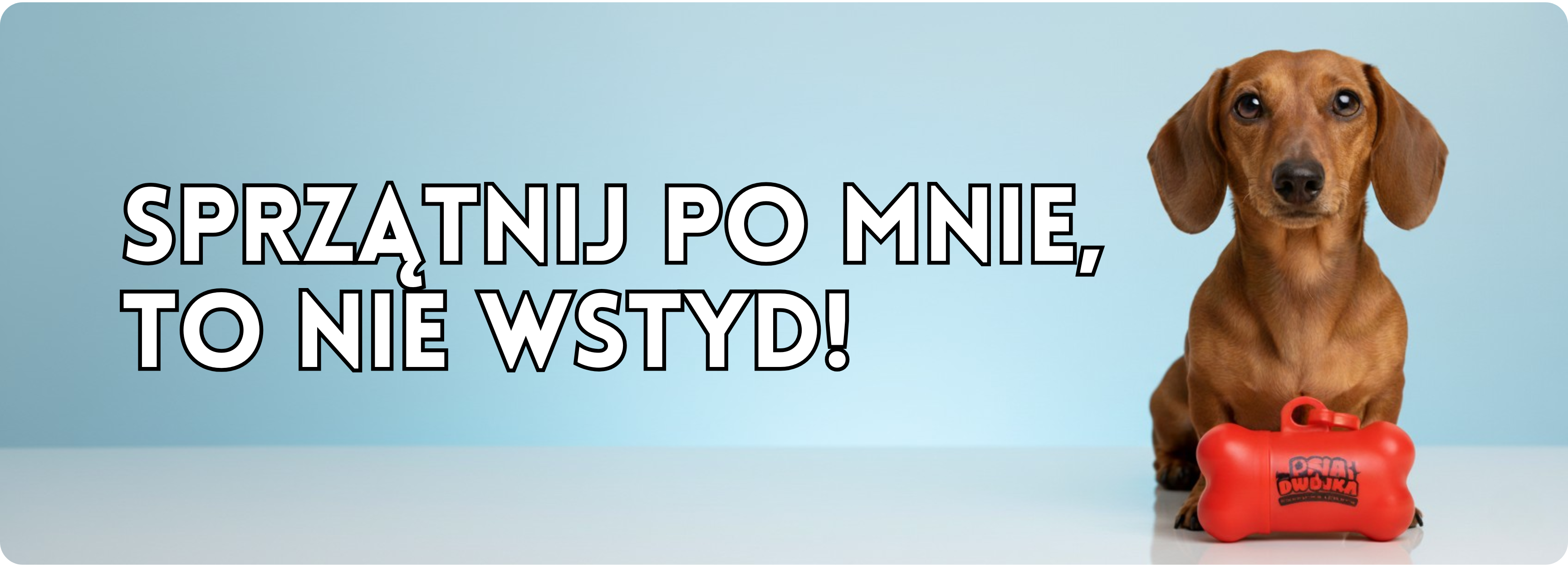 Sprzątnij po mnie, to nie wstyd
