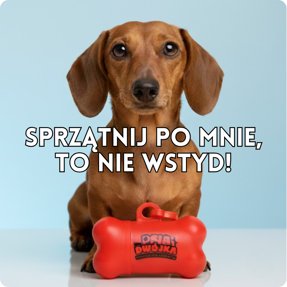 Sprzątnij po mnie, to nie wstyd